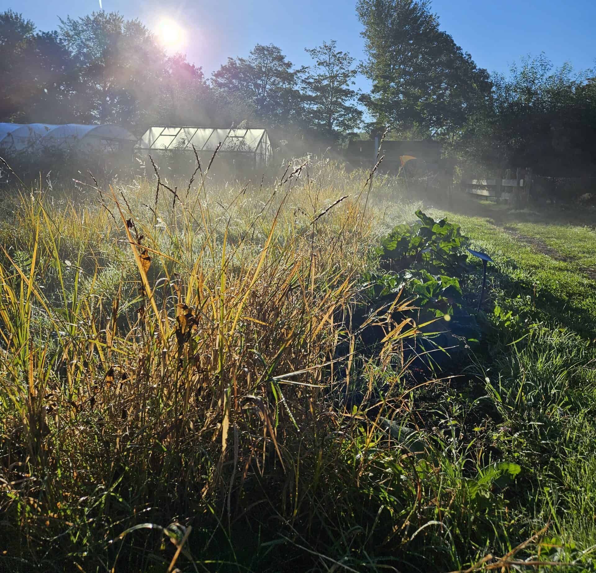Landgoed Buitenleeft