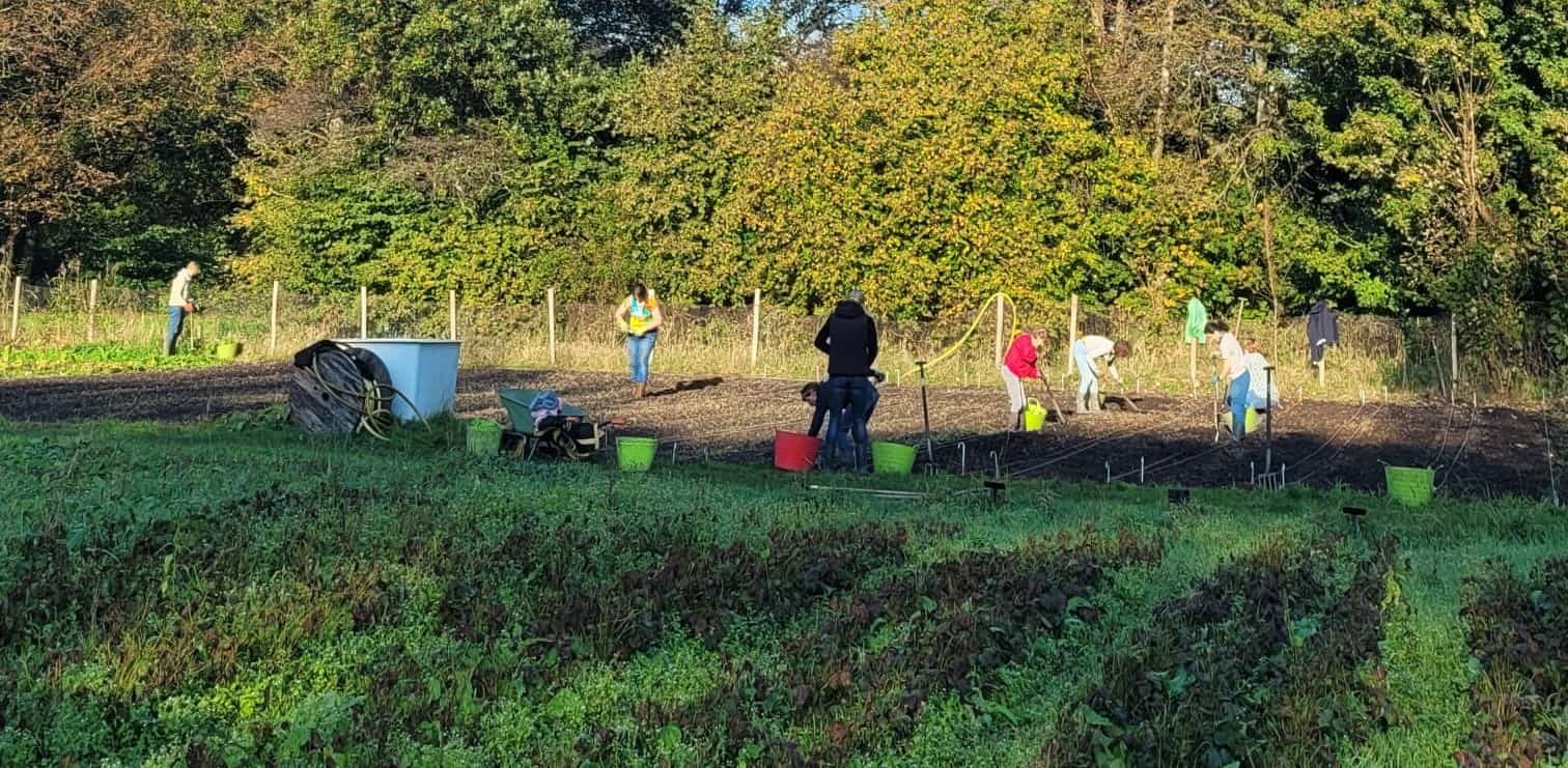 20250507 - Woensdag werken op de tuin – 7 mei